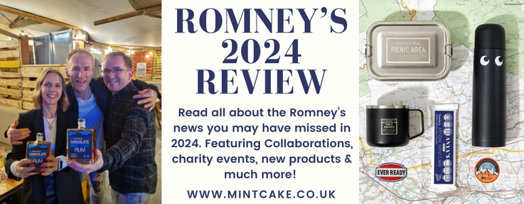 Romney's 2024 review