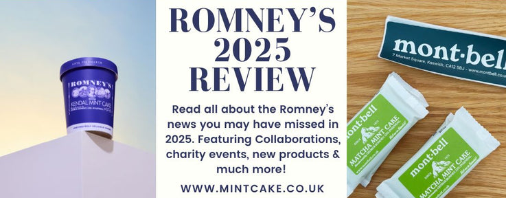 Romney's 2025 Review